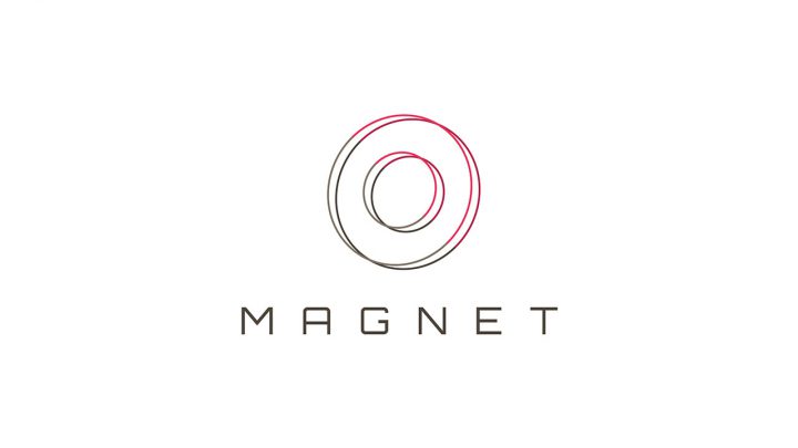 Magnet Brand Identity