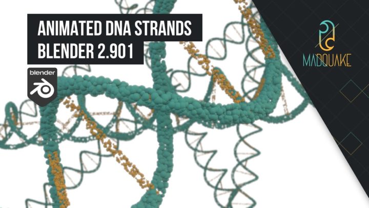 Model a DNA Strand